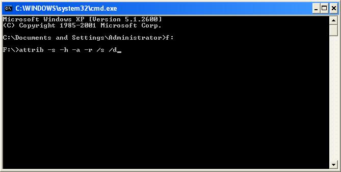 How to Show Files that Hidden by Virus